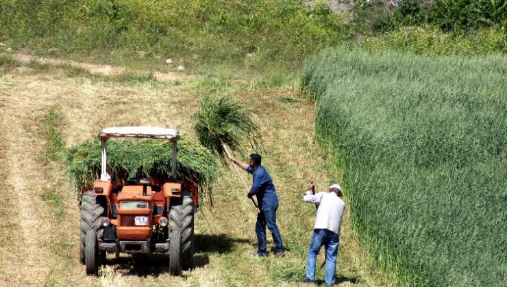 Bursa Yenişehir’de çiftçilere ‘ÇKS’ uyarısı